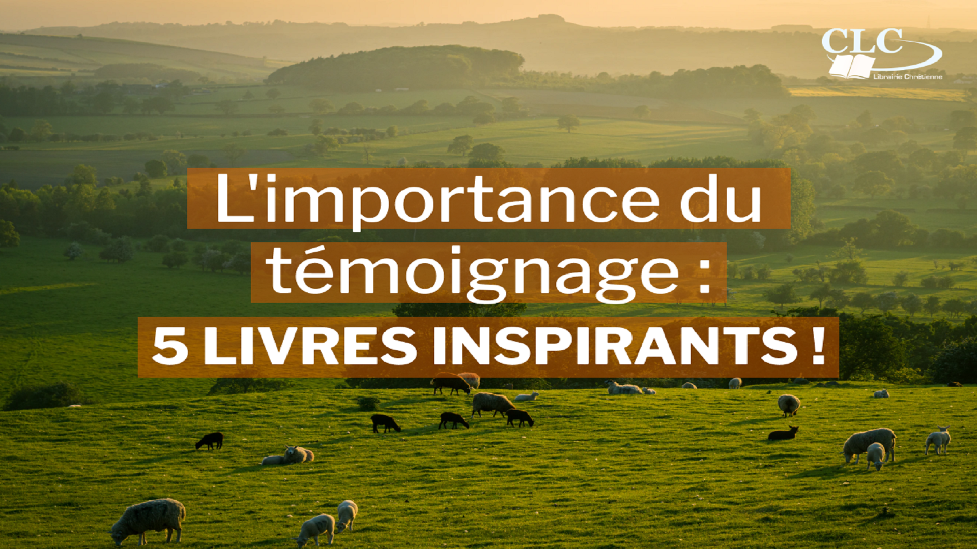 L’importance du témoignage : 5 livres inspirants !