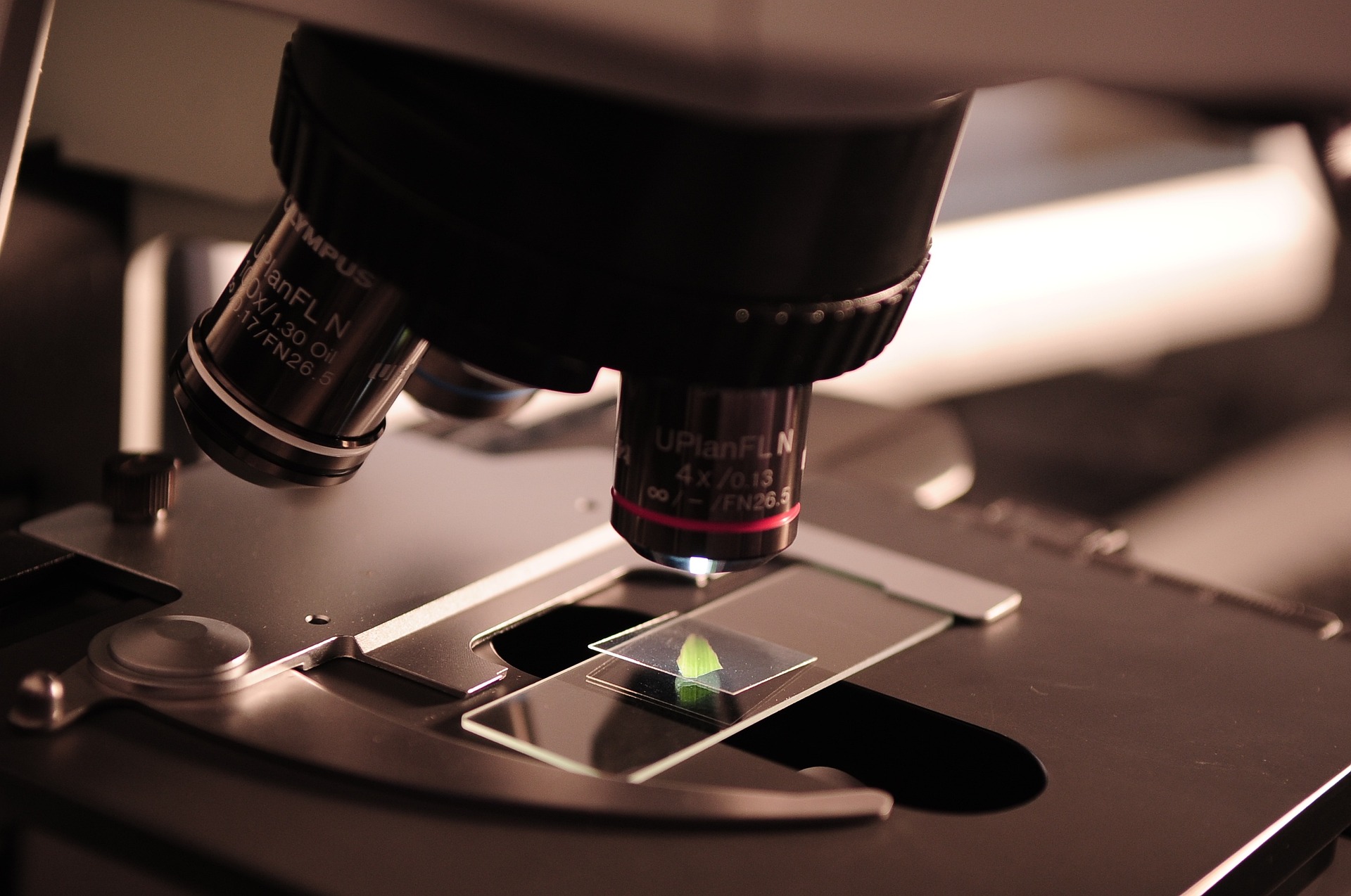 La science peut-elle tout expliquer?