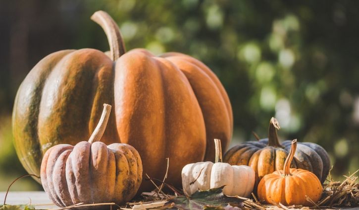 Halloween : fête à bannir ou à saisir ?