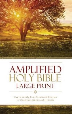 Amplified bible large print
