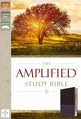 Amplified Study Bible