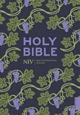 New International Version Bible