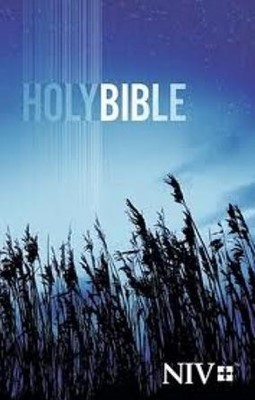 NIV Bible Pocket Colour brochée