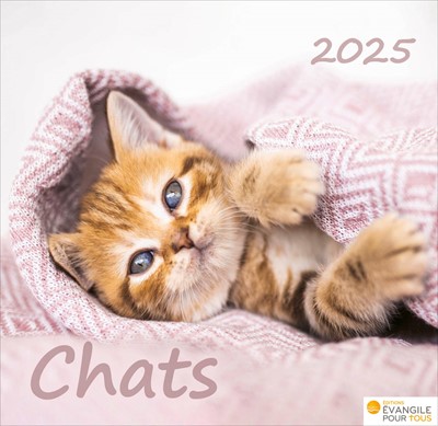 Calendrier Chats