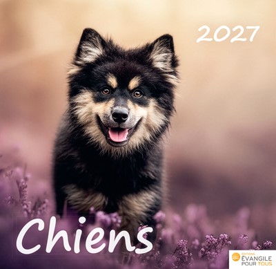 Calendrier Chiens 2027