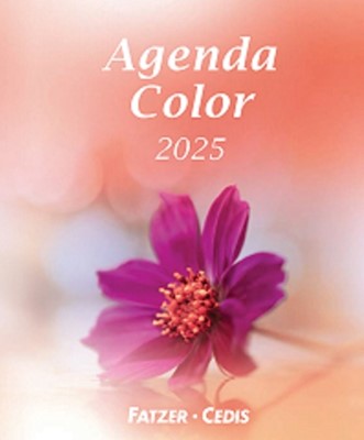 Agenda color 2025
