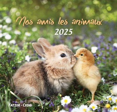 Nos amis les animaux 2024
