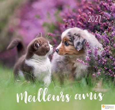 Calendrier Meilleurs Amis 2027