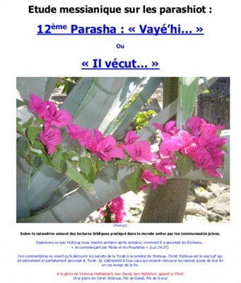 Parasha n°12 : "Vayéhi..." ou "Il vécut..."