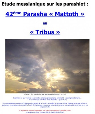 Parasha n°42 "Mattoth" ou "Tribus"