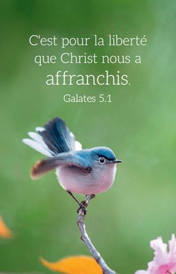 Carte calendrier Oiseau 2026