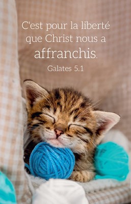 Carte calendrier Chat 2026