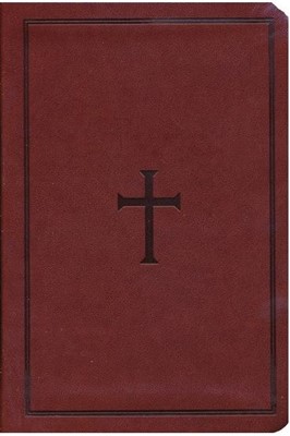 Christian Standard Bible