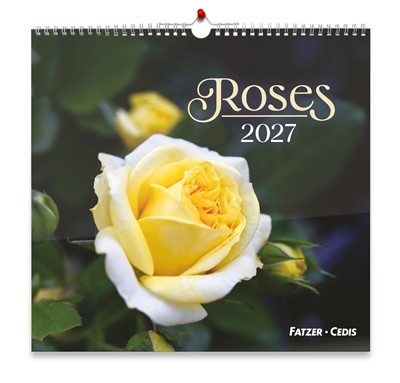 Roses calendrier grand format 2027