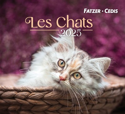 Chats petit format 2024