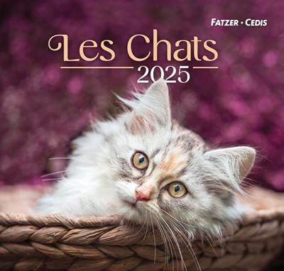 Chats grand format 2024