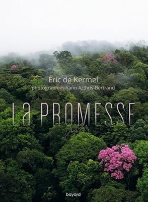 La promesse