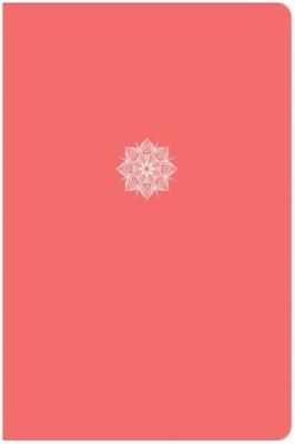 CSB everyday study bible
