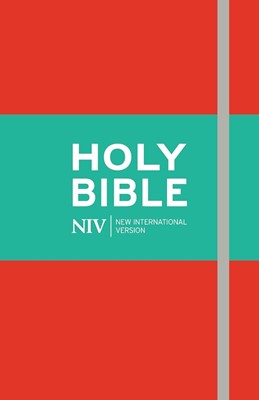 NIV thinline soft-tone Bible