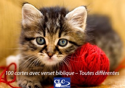 Boite de 100 cartes avec versets bibliques - Thème "Animaux"