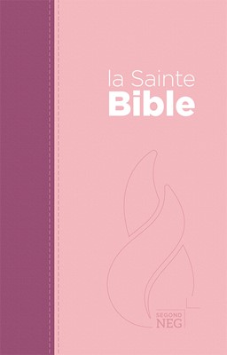 Bible NEG compacte