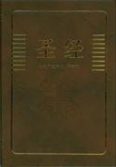 Bible en chinois tcv