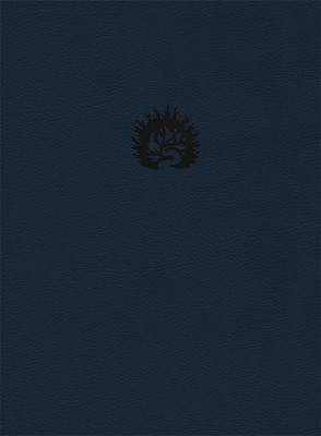 Bible d'étude de la foi réformée