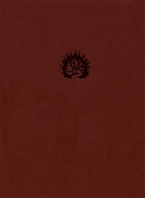 Bible d'étude de la foi réformée