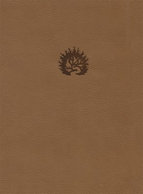 Bible d'étude de la foi réformée