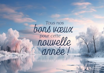 Carte postale bonne année lac et arbres enneigés
