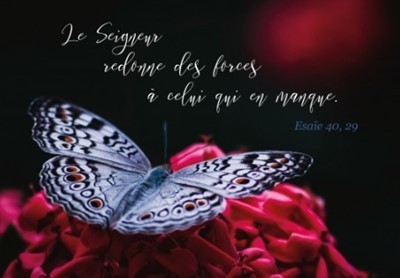 Carte postale avec verset papillon blanc posé sur bouquet fleurs rouges
