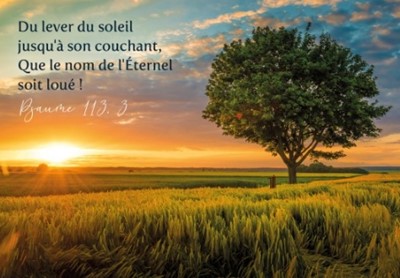 Carte postale avec verset coucher de soleil et arbre