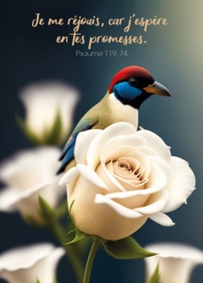 Carte postale avec verset oiseau et roses blanches
