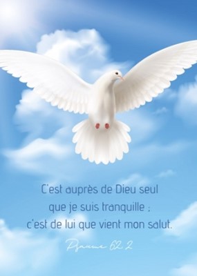Carte postale avec verset colombe sur ciel bleu