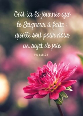 Carte postale avec verset fleur rose sur fond flou