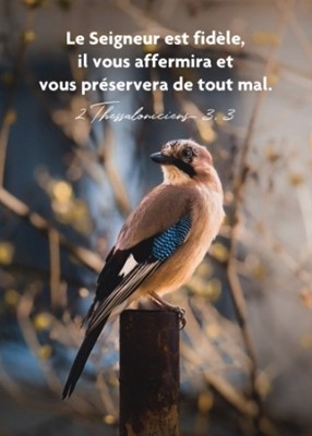 Carte postale avec verset oiseau posé sur un poteau
