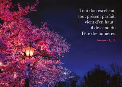 Carte postale avec verset lampadaire dans arbre