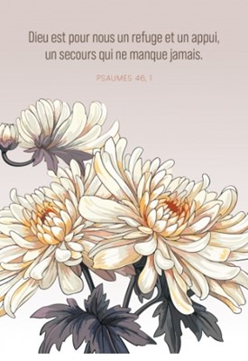 Carte postale condoléances avec verset fleurs blanches dessinées