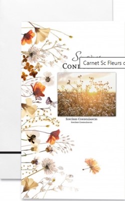Carte double condoléances fleurs des champs divers coloris