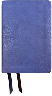 Nasb 1995 Large Print Bible