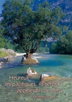 Mini carte arbre dans rivière