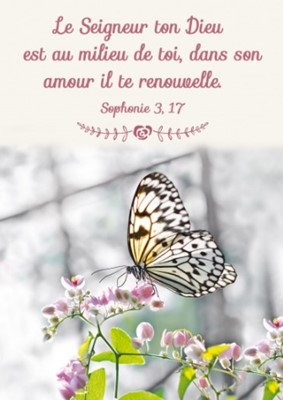 Mini carte papillon sur une branche en fleurs