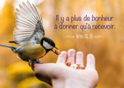 Mini carte oiseau mangeant des graines sur main