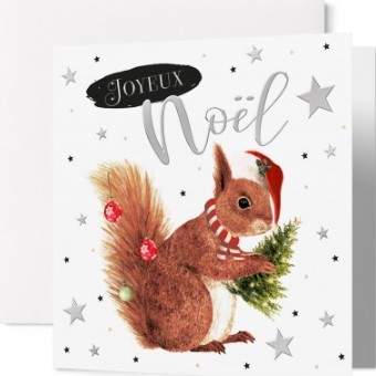 Carte double noël écureuil avec un bonnet de Noël
