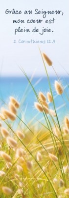 Marque-pages pampas au bord de l'océan