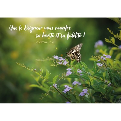 Carte postale avec verset Papillon sur fond vert.