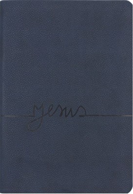 Bible portugais gros caracteres souple