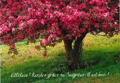 Carte postale avec citation