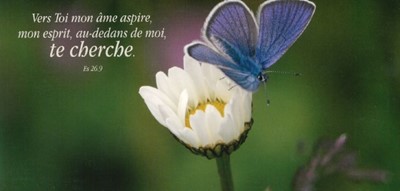 Carte double longue