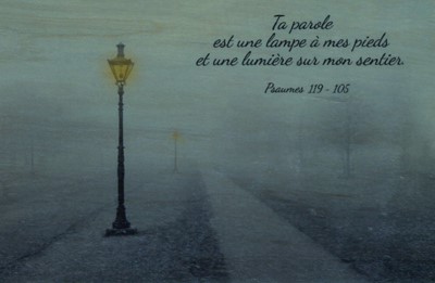 Carte postale en bois massif (érable)